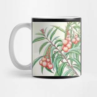 Lychee Mug